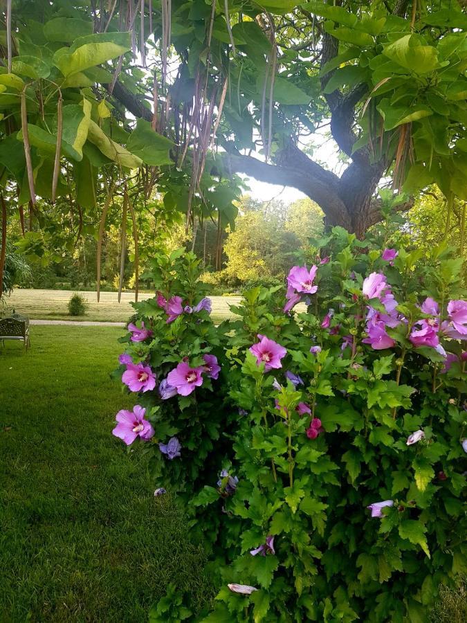 Chateau De La Coutanciere Brain-sur-Allonnes Ngoại thất bức ảnh