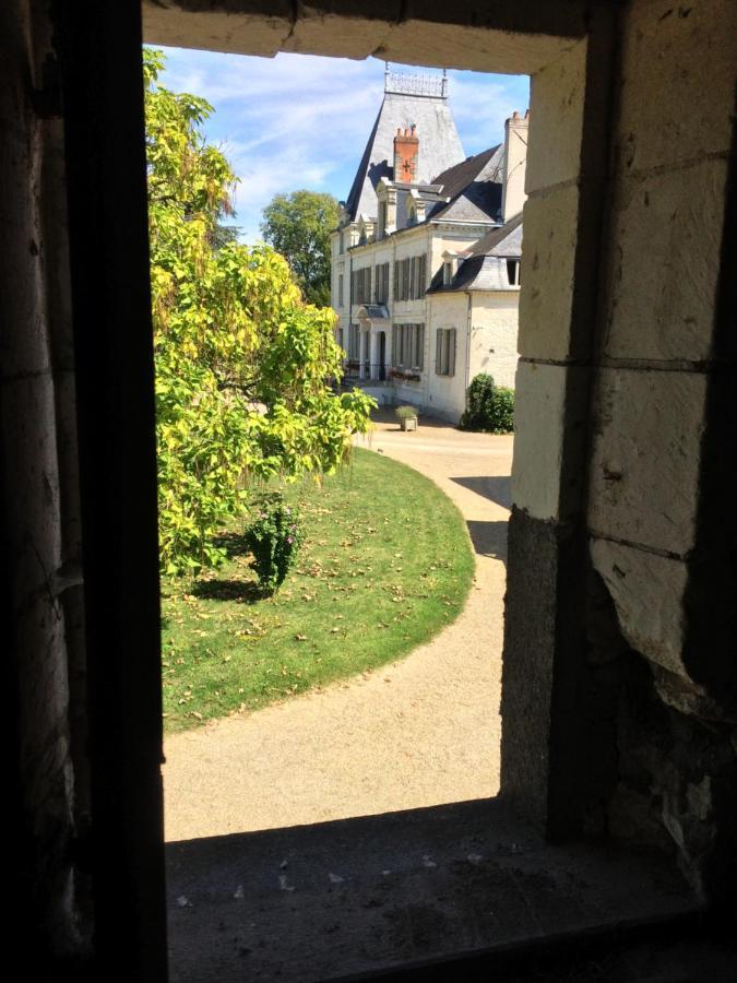 Chateau De La Coutanciere Brain-sur-Allonnes Ngoại thất bức ảnh